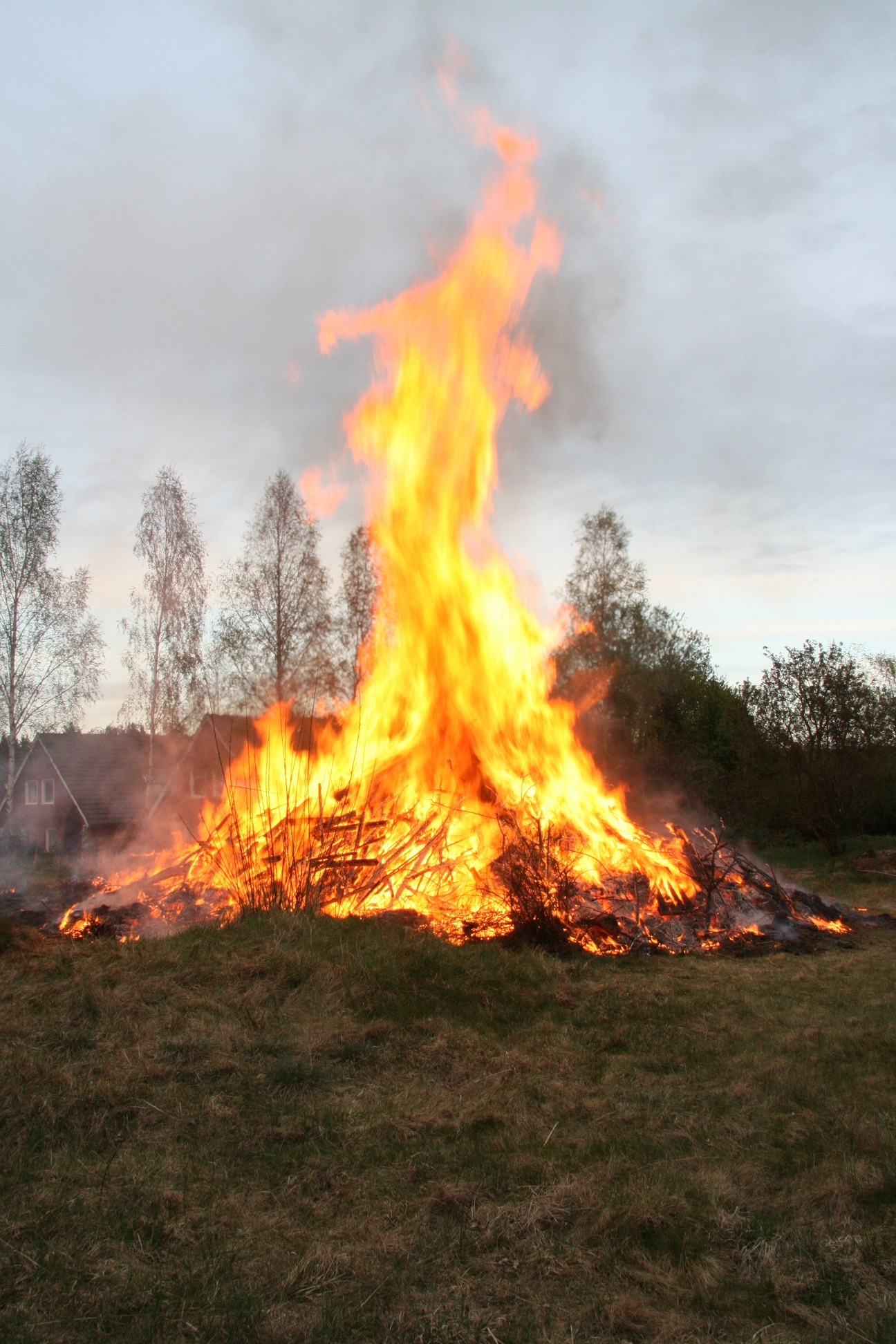 Start a Bonfire & Grind Up the Sacred Cow (Scorched Earth – Part II)